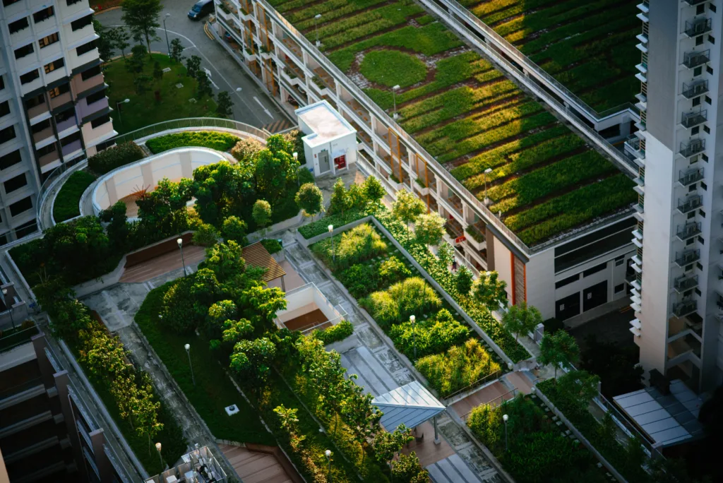 Image example of urban rooftop gardening techniques.